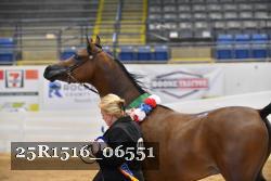 25R1516_06551 thumbnail