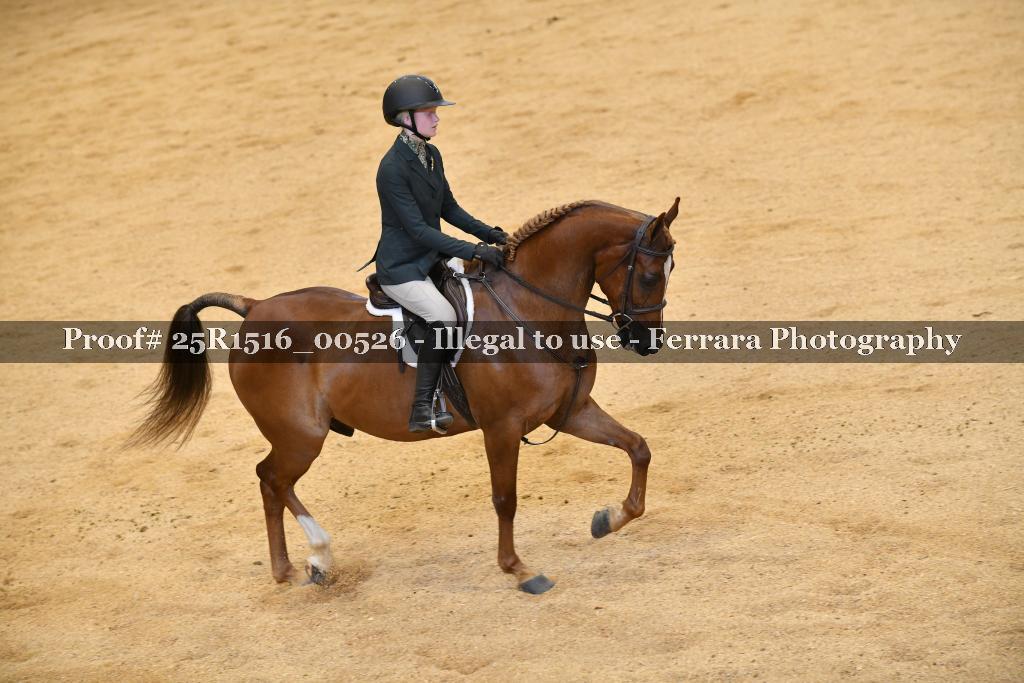Proof Number 25R1516_00526