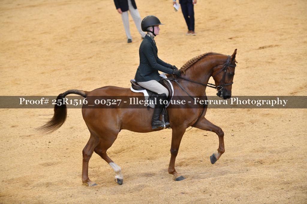 Proof Number 25R1516_00527