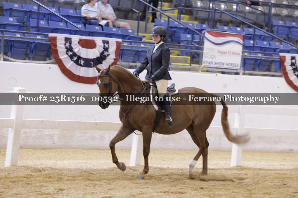 Proof Number 25R1516_00532