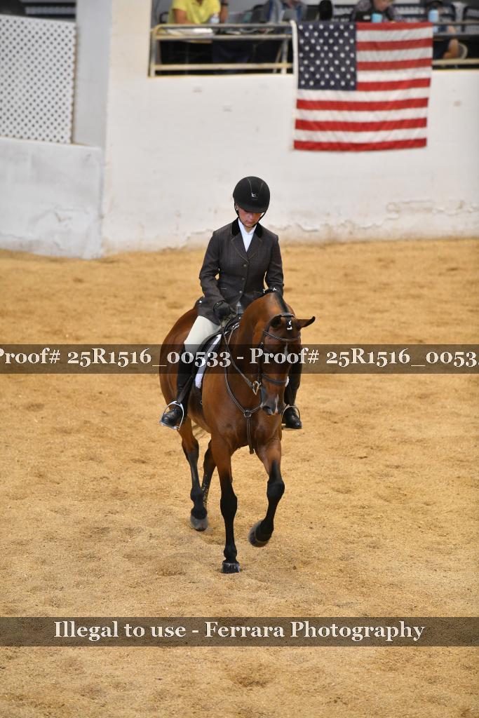 Proof Number 25R1516_00533