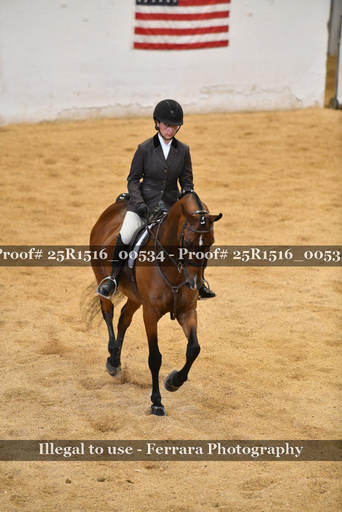 Proof Number 25R1516_00534