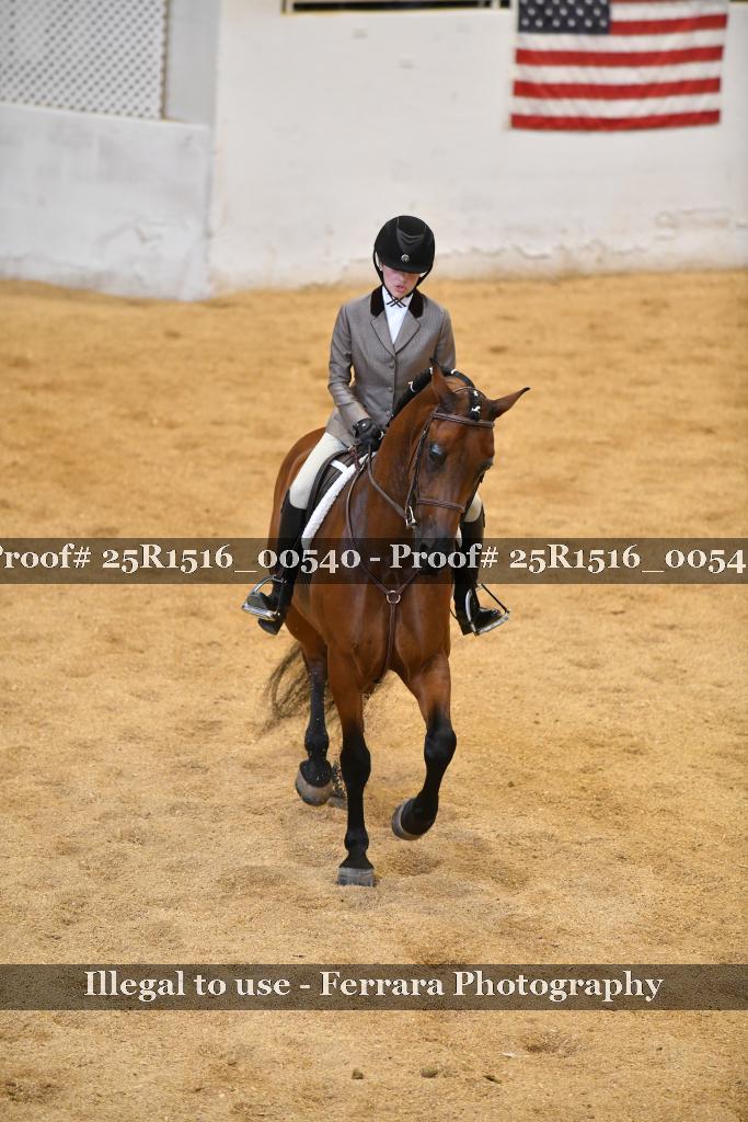 Proof Number 25R1516_00540