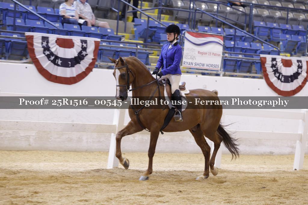 Proof Number 25R1516_00545