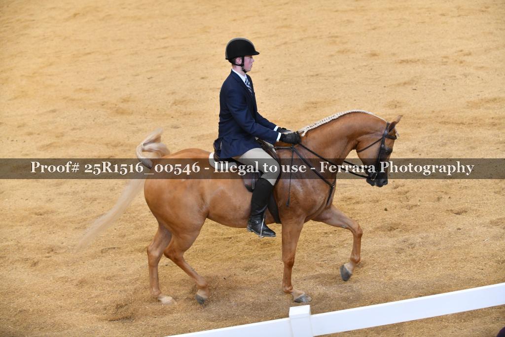 Proof Number 25R1516_00546