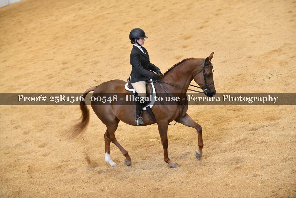 Proof Number 25R1516_00548