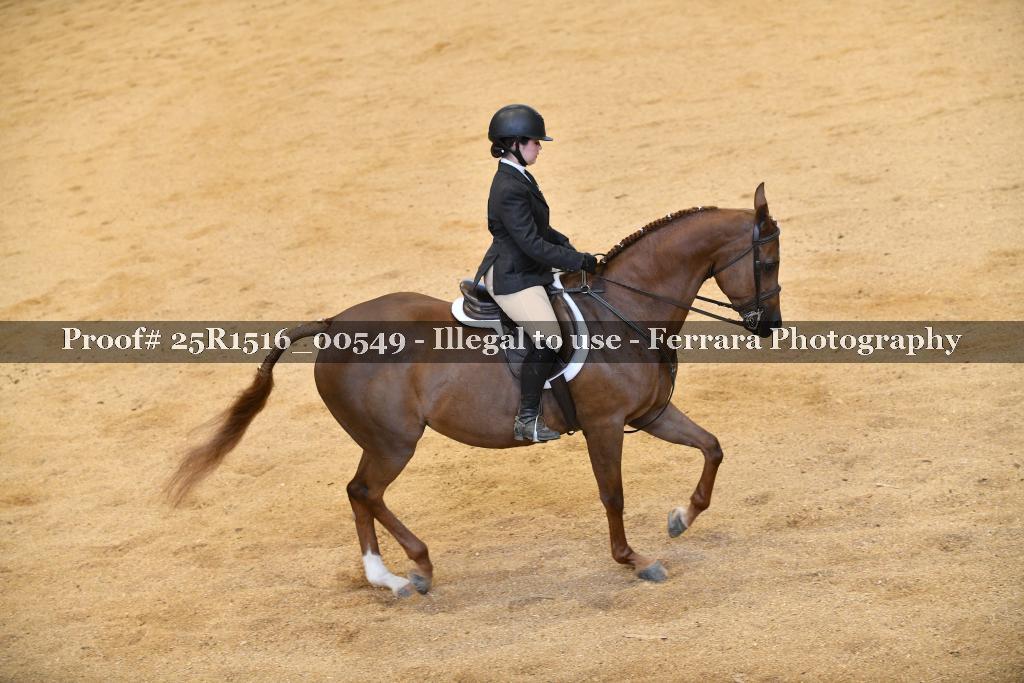Proof Number 25R1516_00549