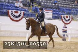 25R1516_00550 thumbnail