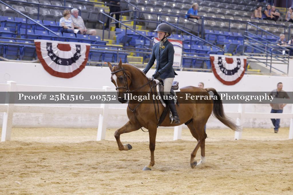 Proof Number 25R1516_00552