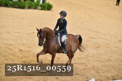 25R1516_00559 thumbnail