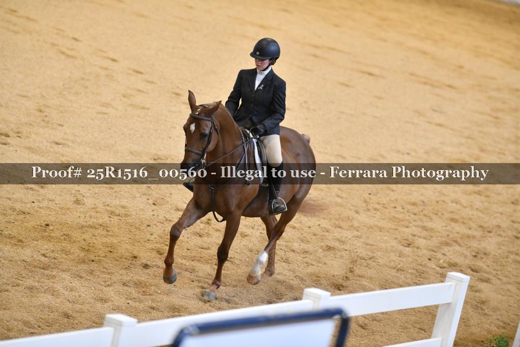 Proof Number 25R1516_00560