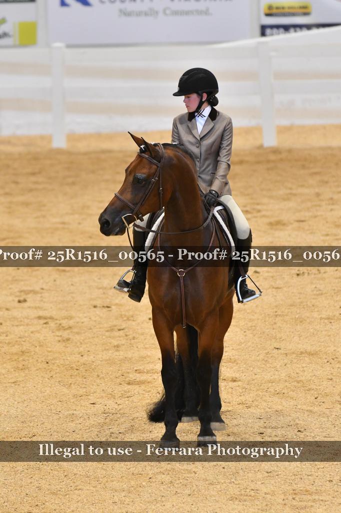 Proof Number 25R1516_00565