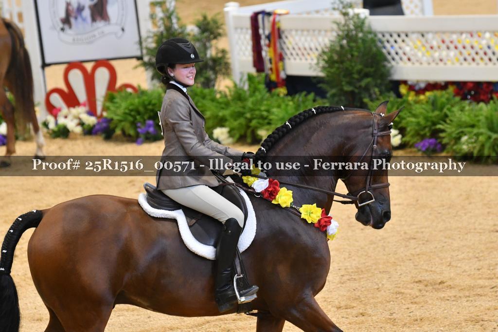 Proof Number 25R1516_00571