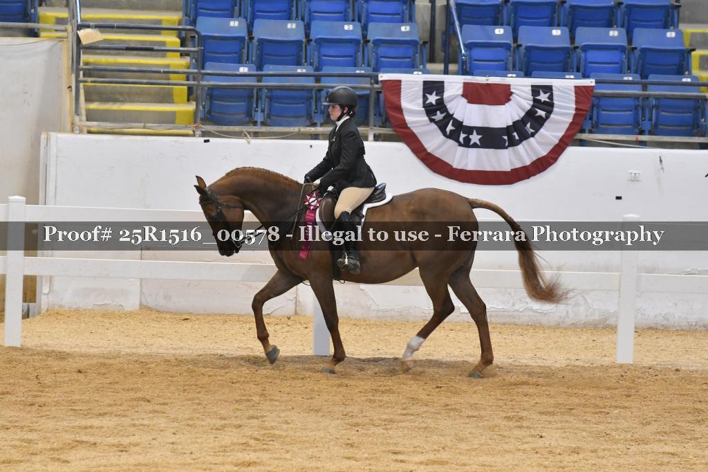 Proof Number 25R1516_00578