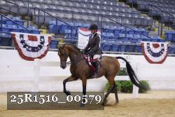 25R1516_00579 thumbnail