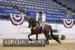25R1516_00585 thumbnail