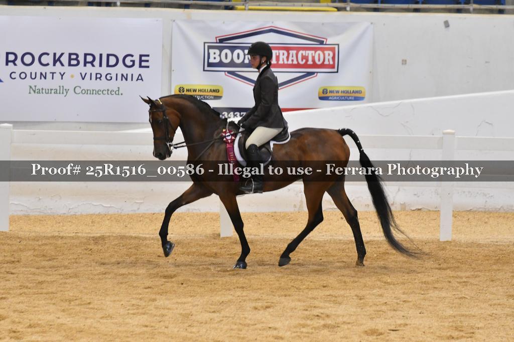 Proof Number 25R1516_00586