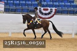 25R1516_00591 thumbnail