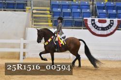 25R1516_00594 thumbnail