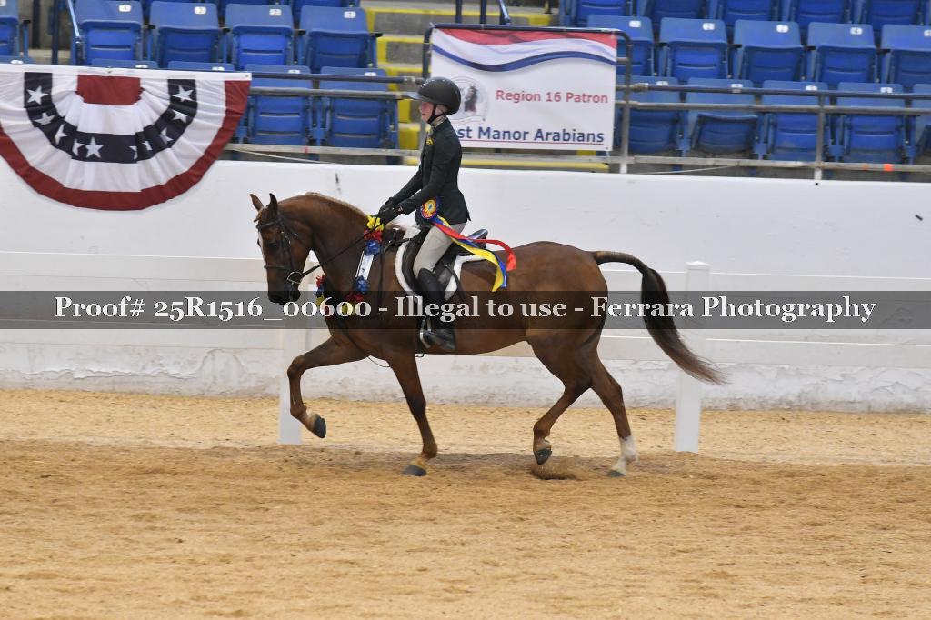 Proof Number 25R1516_00600