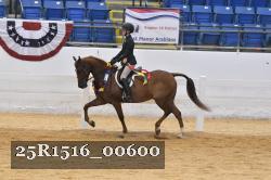 25R1516_00600 thumbnail