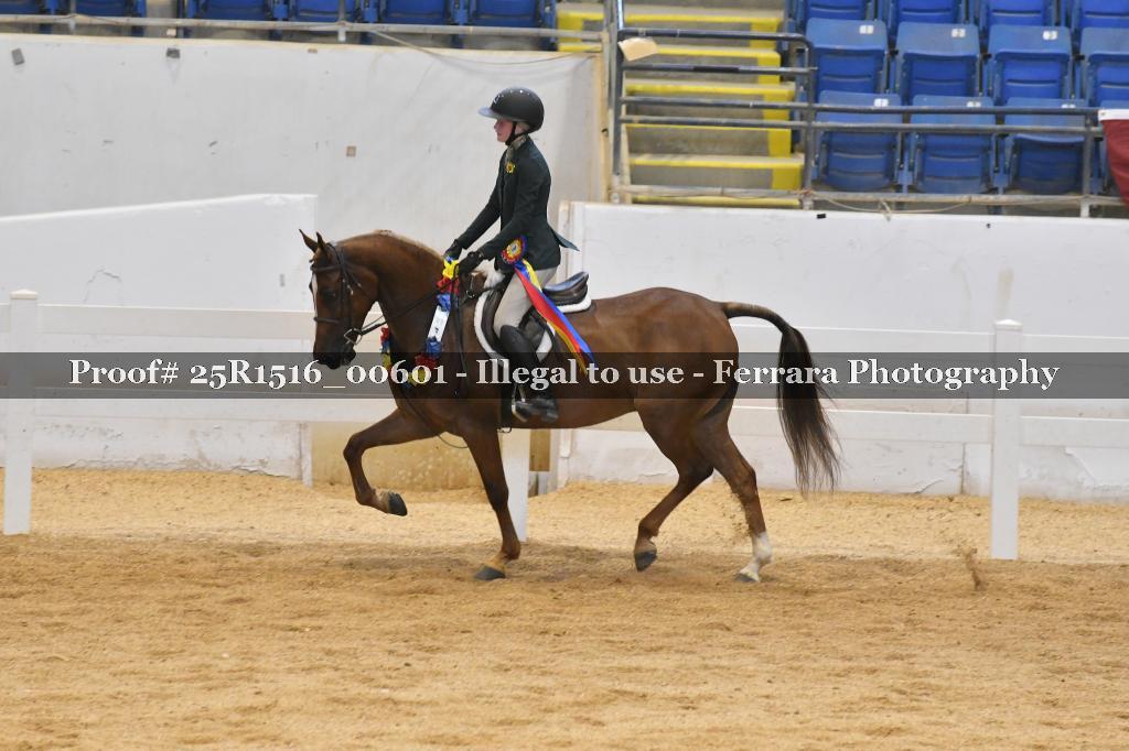 Proof Number 25R1516_00601