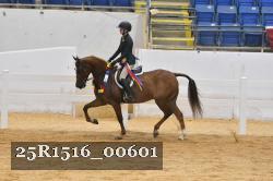 25R1516_00601 thumbnail