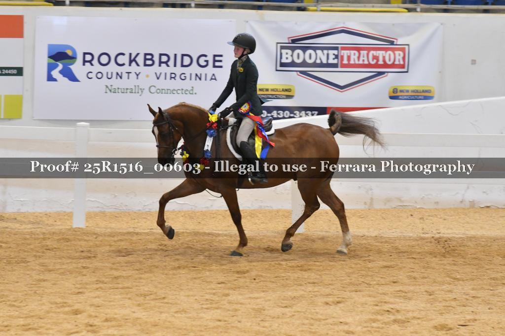 Proof Number 25R1516_00603