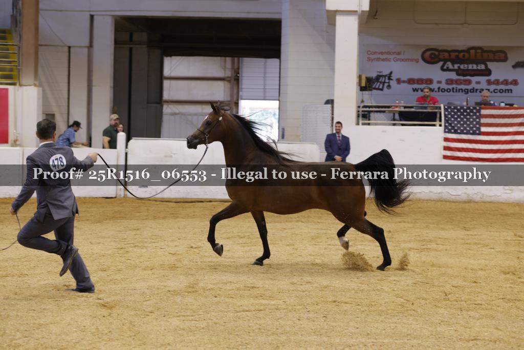 Proof Number 25R1516_06553