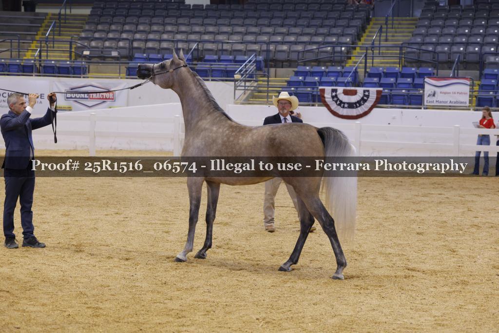 Proof Number 25R1516_06574