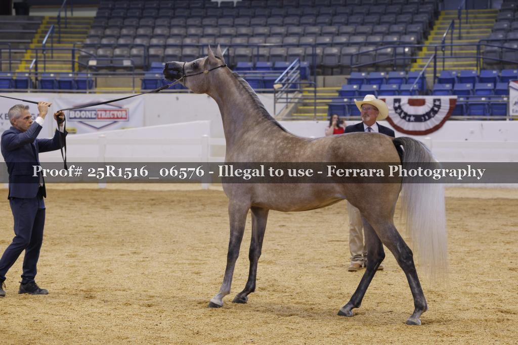 Proof Number 25R1516_06576