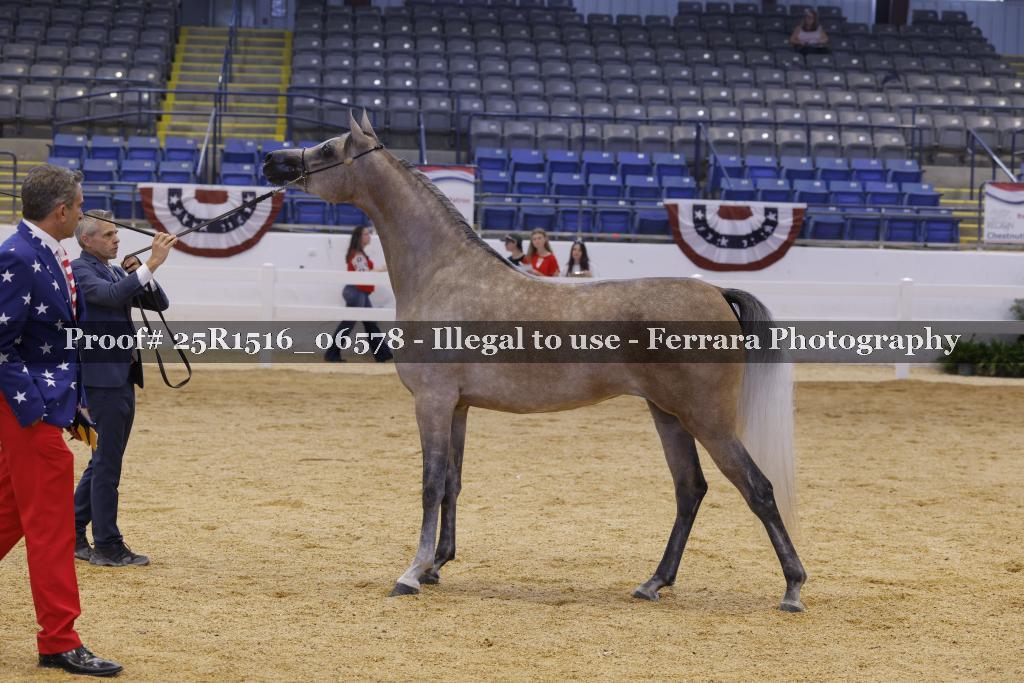 Proof Number 25R1516_06578