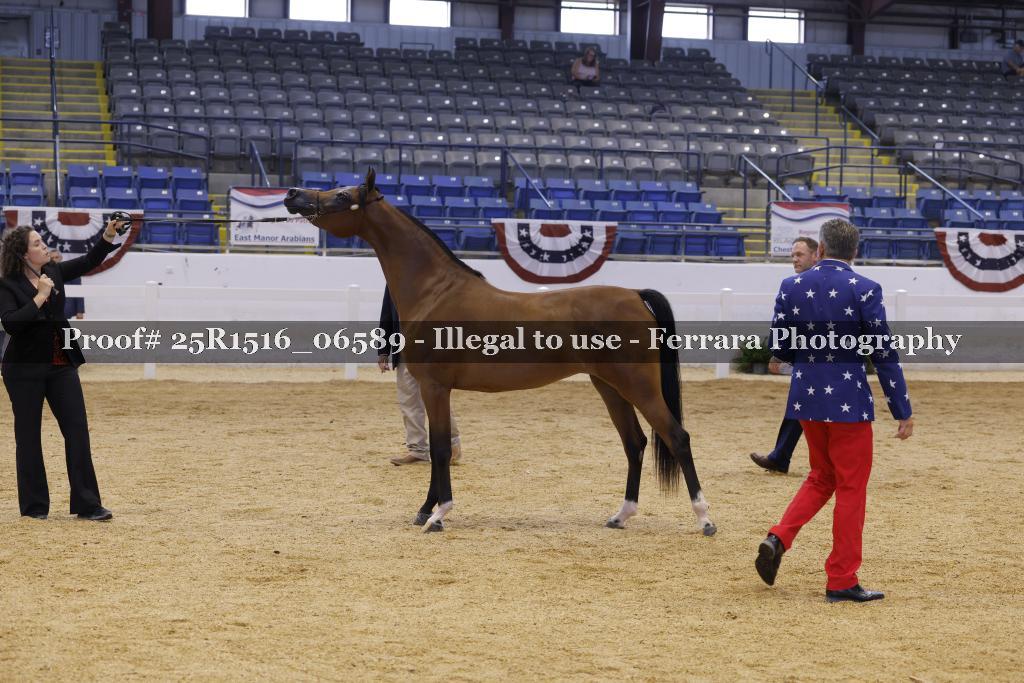 Proof Number 25R1516_06589