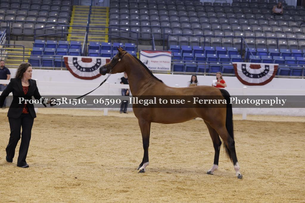 Proof Number 25R1516_06590