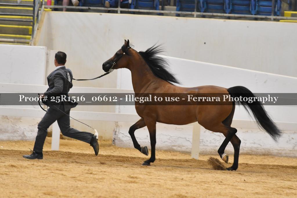 Proof Number 25R1516_06612