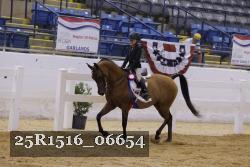 25R1516_06654 thumbnail