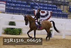 25R1516_06656 thumbnail