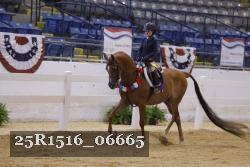 25R1516_06665 thumbnail