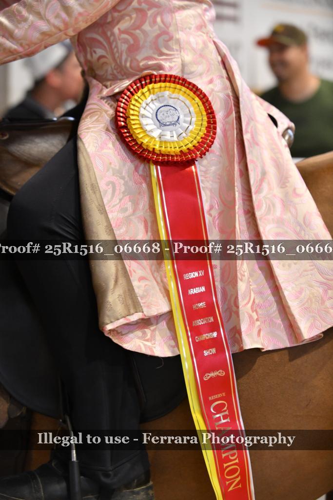 Proof Number 25R1516_06668