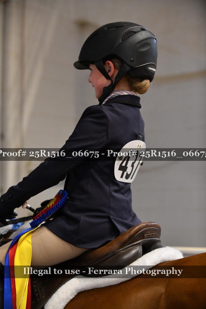 Proof Number 25R1516_06675