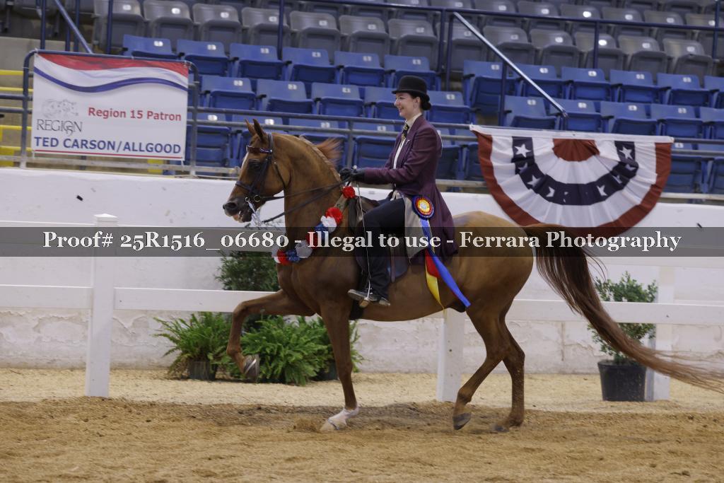 Proof Number 25R1516_06680