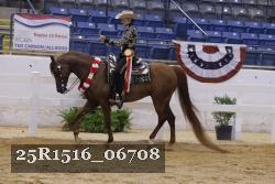 25R1516_06708 thumbnail