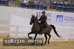 25R1516_06719 thumbnail
