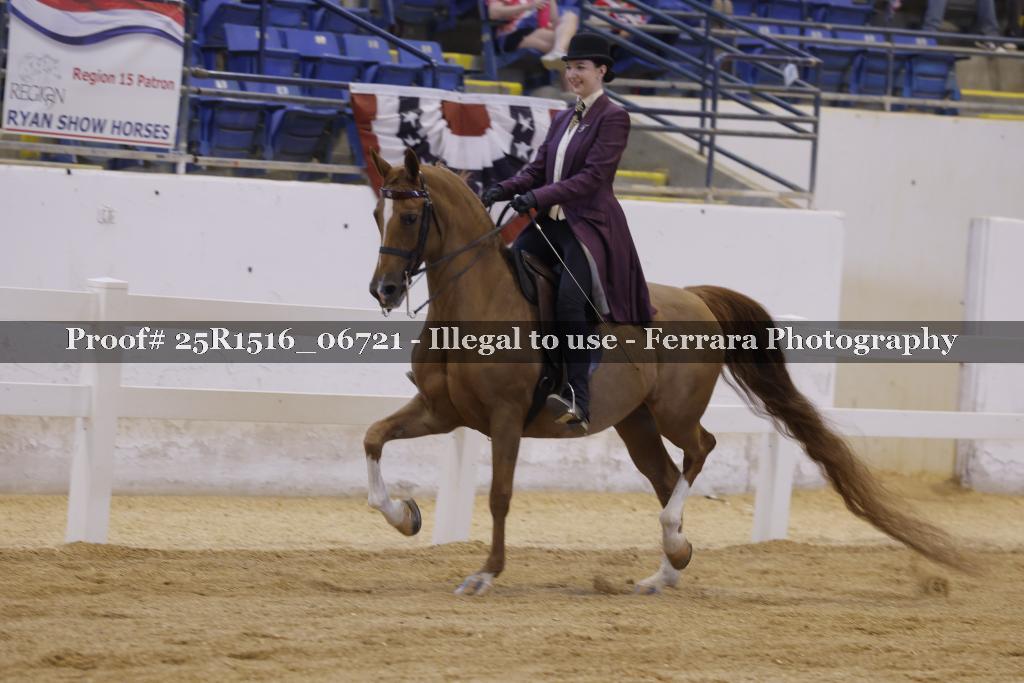 Proof Number 25R1516_06721