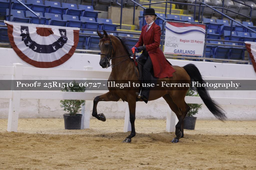 Proof Number 25R1516_06727