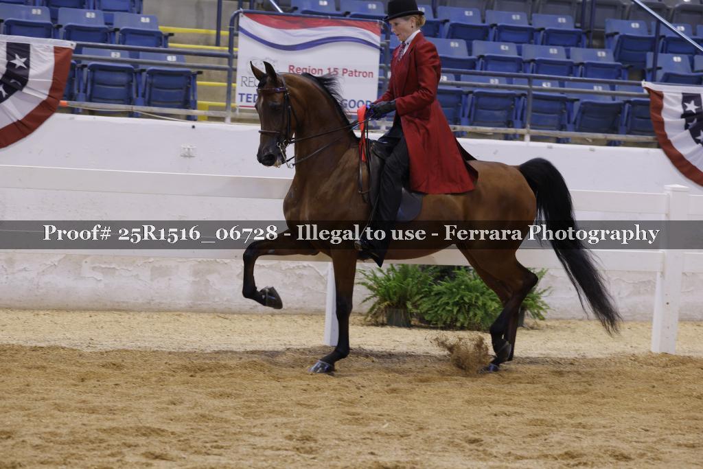 Proof Number 25R1516_06728