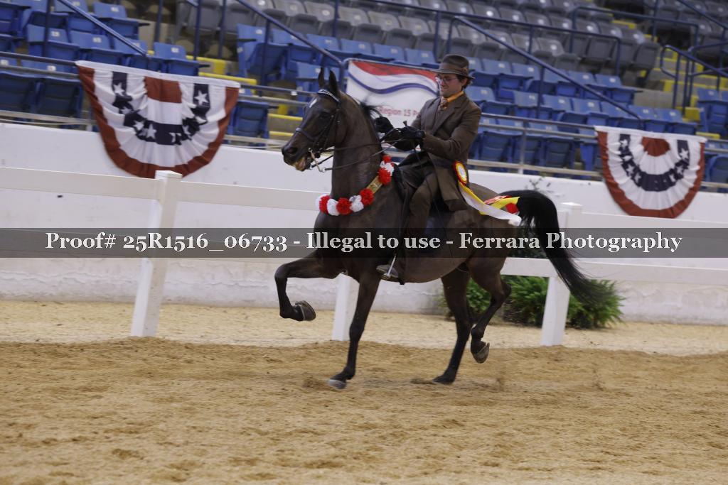 Proof Number 25R1516_06733