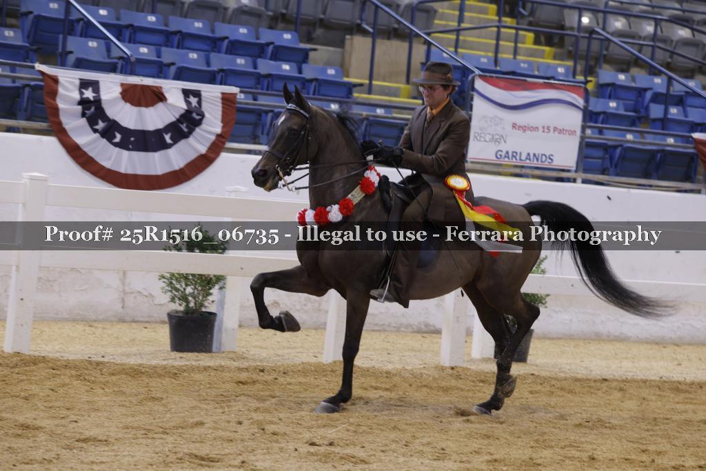 Proof Number 25R1516_06735
