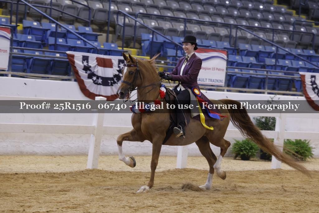 Proof Number 25R1516_06740