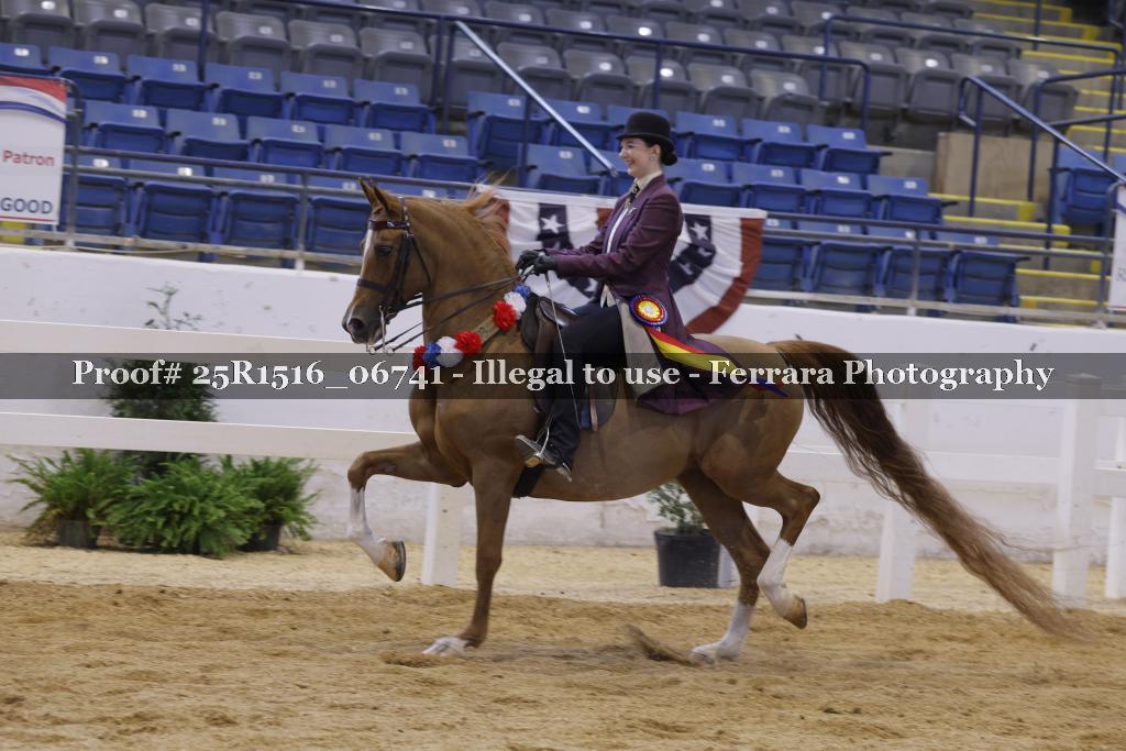 Proof Number 25R1516_06741